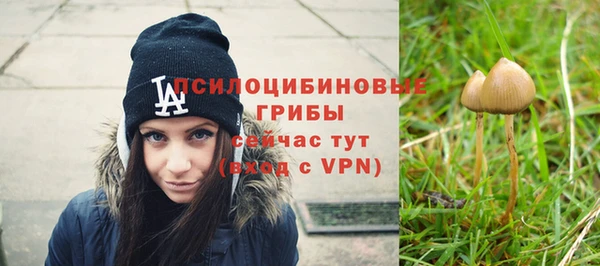 марки nbome Аркадак